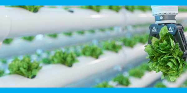 ION218580 Sustainable Finance banner email 740x274 01 Cambridge